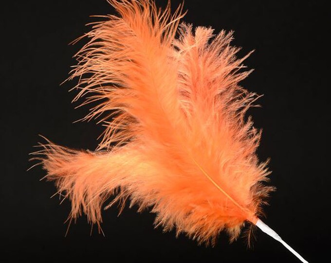 18 ORANGE real FEATHER spray. Each spray has 3 feathers great for crafting, hatmaking, wedding hair, floral decorations and bouquets
