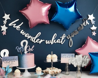GENDER REVEAL PARTY decoration collection team boy or girl balloons, photo props, banners, cake toppers pink and blue gorgeous decorations