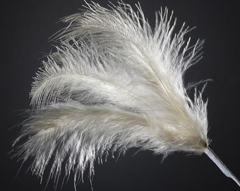 18 IVORY real FEATHER spray. Each spray has 3 feathers great for crafting, hatmaking, wedding hair, floral decorations and bouquets