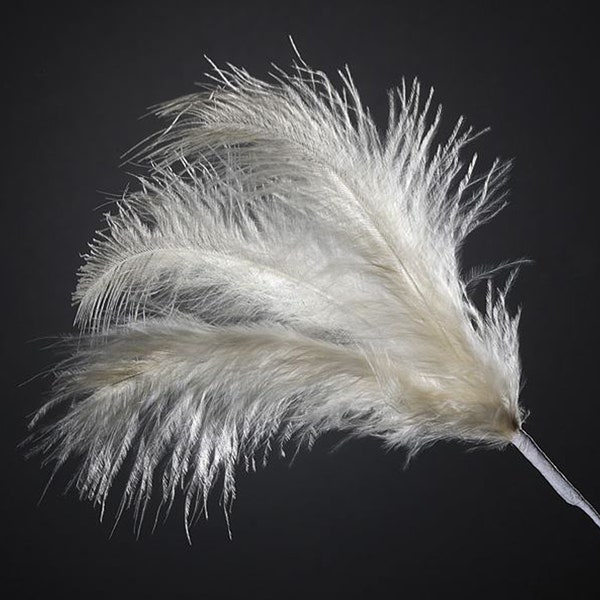 18 IVORY real FEATHER spray. Each spray has 3 feathers great for crafting, hatmaking, wedding hair, floral decorations and bouquets