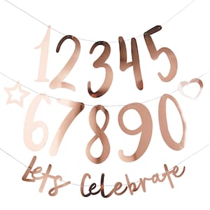 Rose GOLD CELEBRATION re useable birthday anniversary party create your own BANNER bunting or hanging garland let&#39;s celebrate 2meters or 6ft