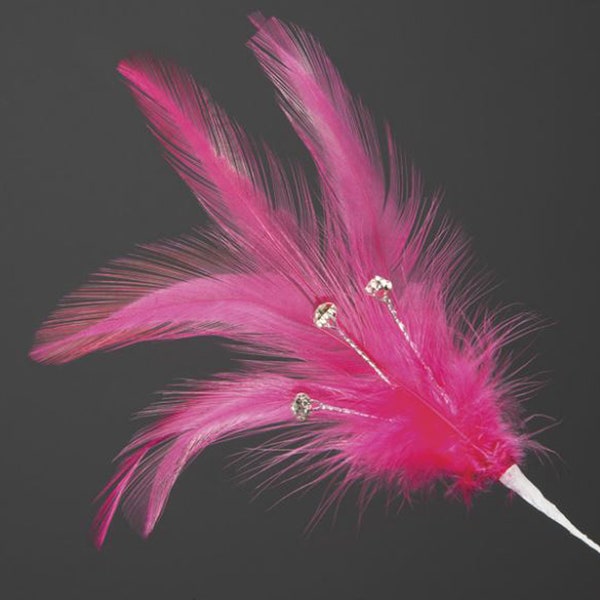 Pack de 6 VRAIES PLUMES FUCHSIA avec DIAMANTES idéal pour l’artisanat, la chapellerie, les cheveux de mariage, les décorations florales et les bouquets