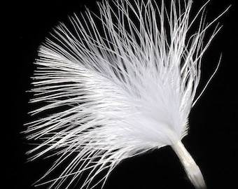 Pack of 36 WHITE real FEATHER stems 90mm great for crafting, hatmaking, wedding hair, floral decorations and bouquets