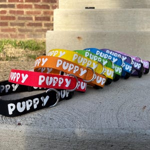 Furry Fashion Collar: Puppy, Kitty, Furry, Cosplay Accessory