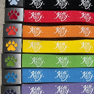 ¡Cinturones Kitty Fashion! Variedad de colores para disfraces y accesorios.