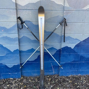 May include: A pair of silver ski poles are crossed in front of a silver ski. The ski has a black tip and tail. The ski poles have black straps and black tips. The background is a blue and white mural of mountains.