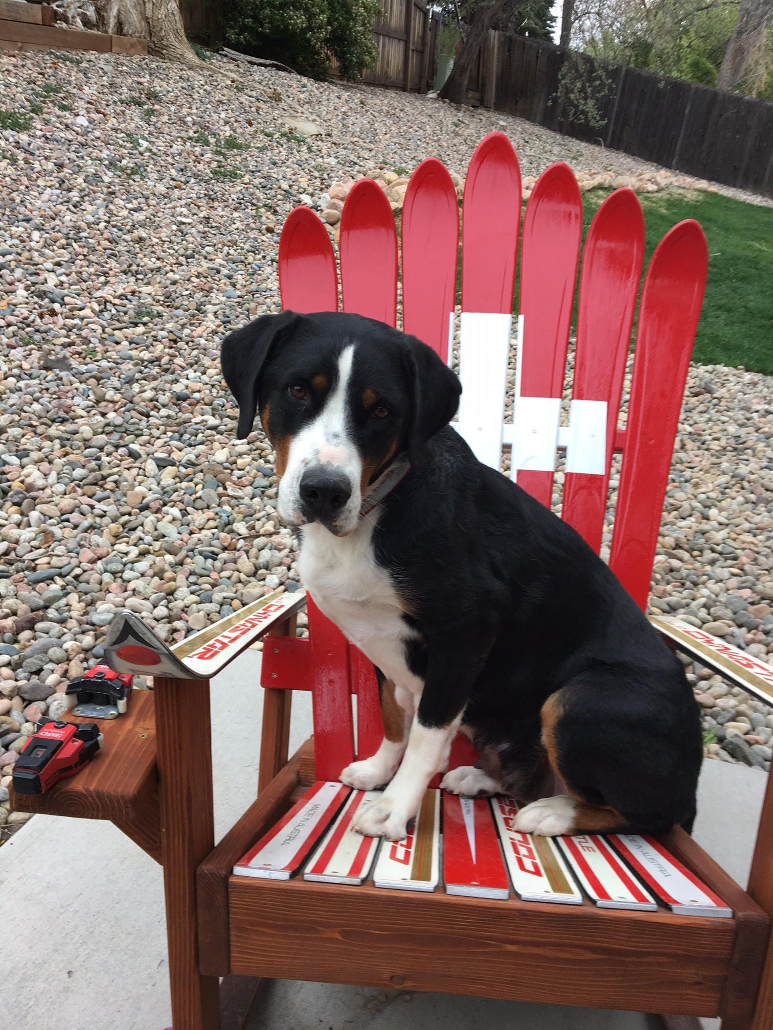 Hand Painted Swiss Flag Adirondack Ski Chair - Etsy