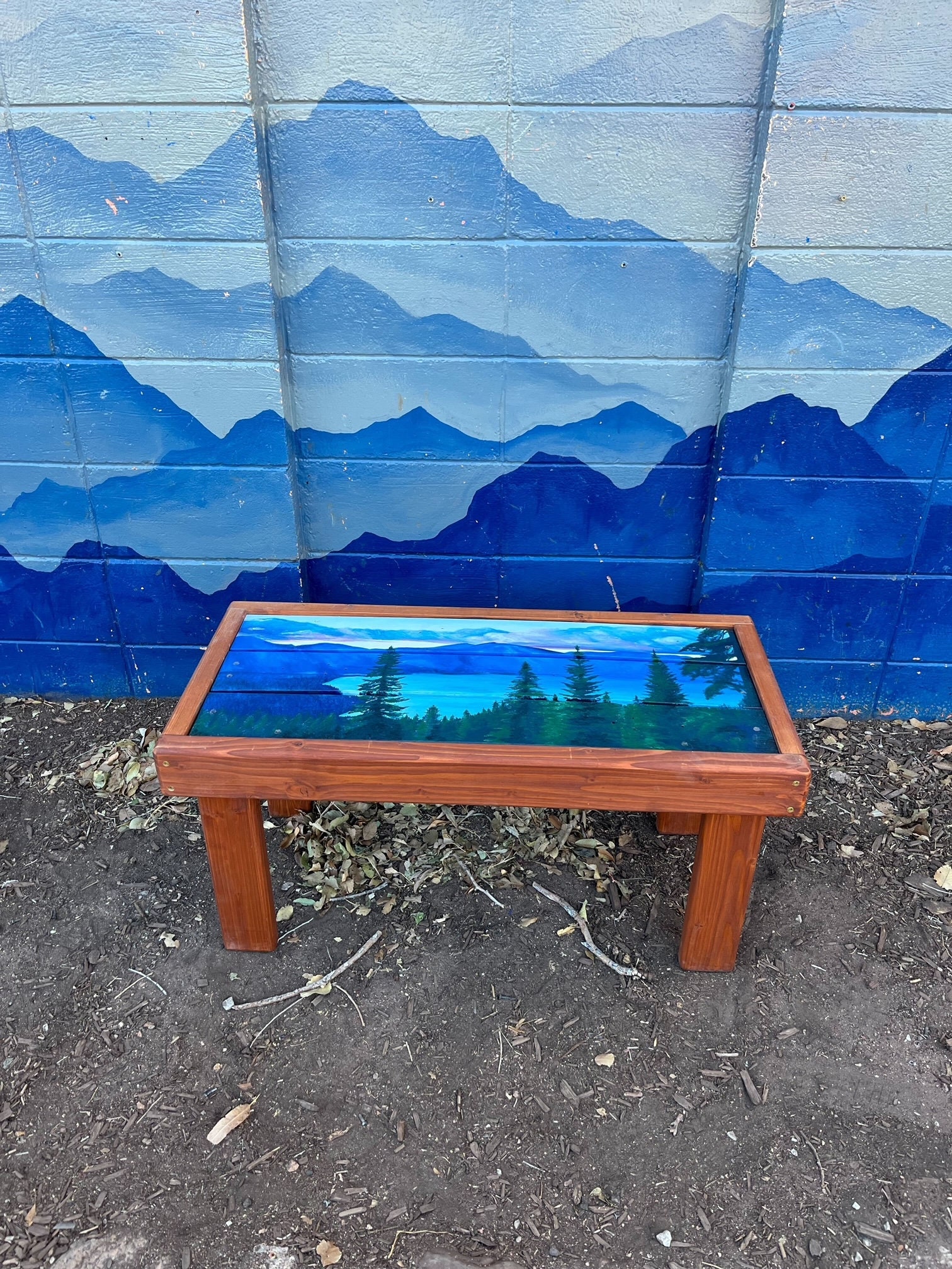 Ski Coffee Table - send your favorite photo, horizontal style, skis and wood, original skis, handcrafted in Colorado, recycled skis