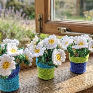 Dies ist die NIEDERLÄNDISCHE Version dieses Designs