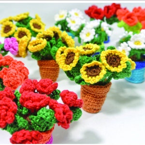 ENGLISH - Flower pot with little flowers
