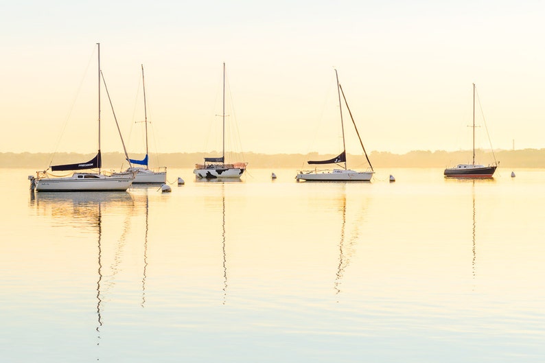 Sailboat Art, Mendota Sailboats at Sunrise, Madison Wisconsin Photography, UW Madison image 1