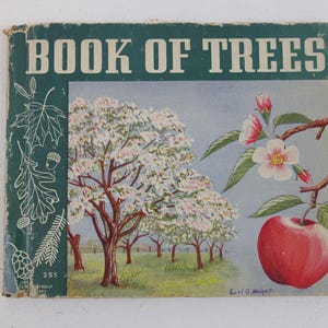 Book of Trees, by Lewis H. Mills and Gertrude C. Hawkins, Illustrated by Earl G. Wright, Copyright 1939, Edition of 1941, Rand McNally, Book