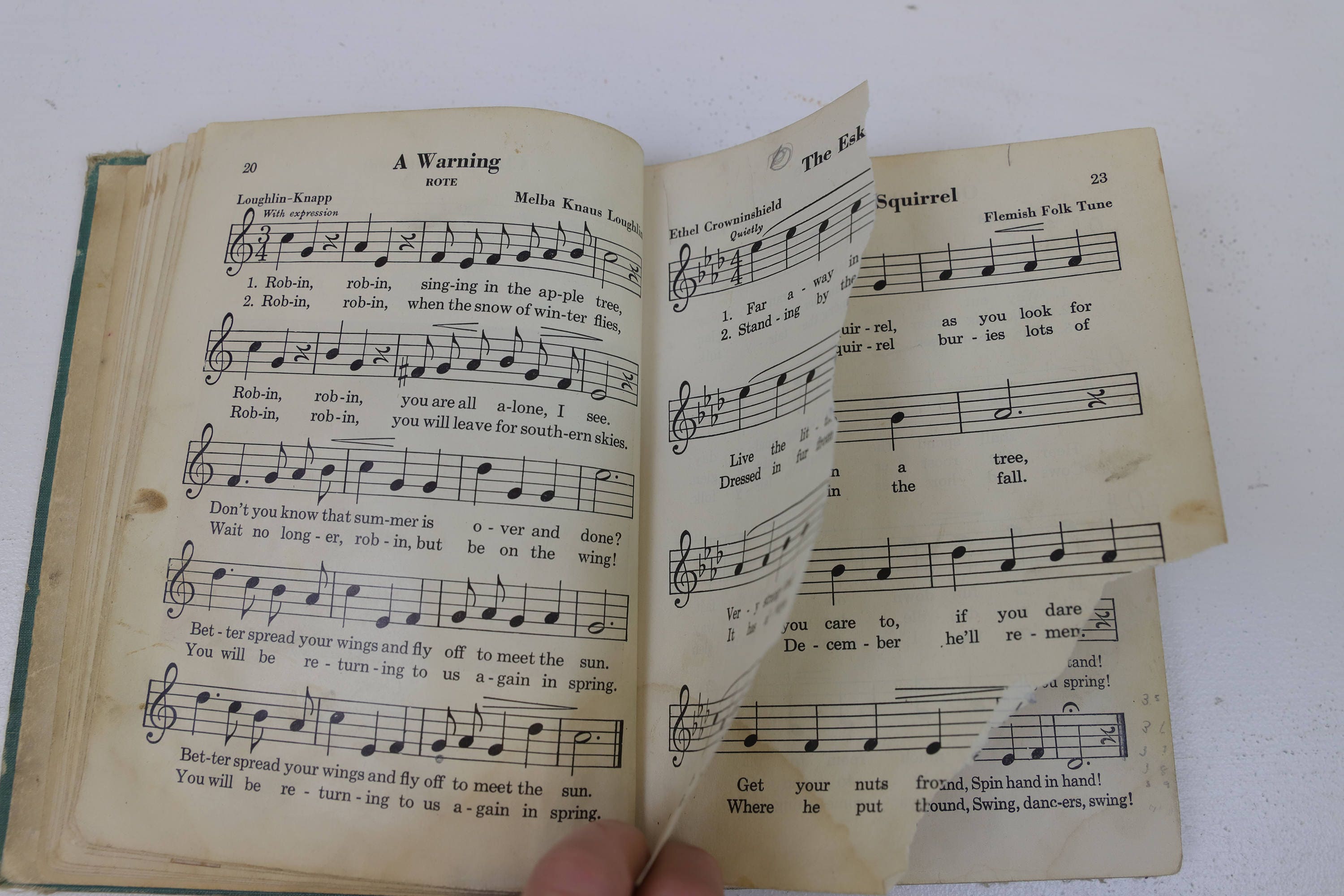 Rhythms and Rimes, the World of Music, by Glenn, Leavitt, Rebmann, and