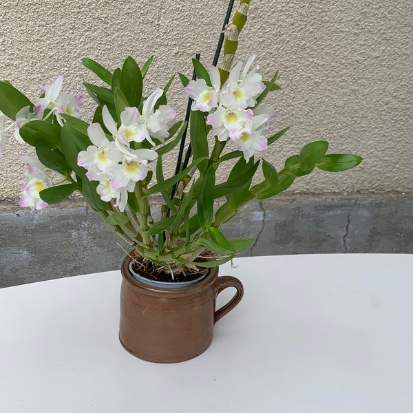 Pot en gres vernissé, ancien avec une anse, cache pot ou pot pour la cuisine