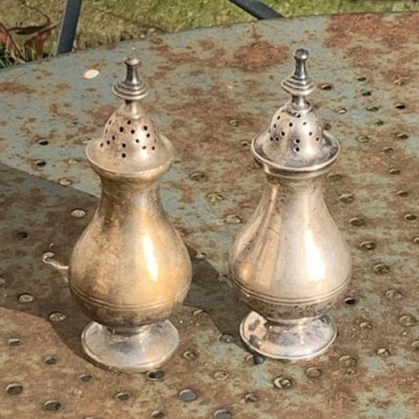 Paar Salz- und Pfefferstreuer aus altem, elegantem Silbermetall