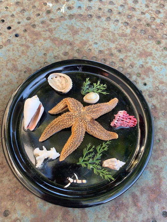 Trompe l'oeil plate, decorative collector's plate with seafood, starfish, and naturalistic shells, vintage