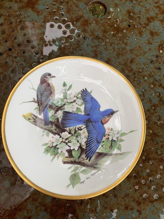 Decorative collector's plate with birds, Roger Tory Peterson, hand painted, limited edition, Bobolink, vintage 1981, collector