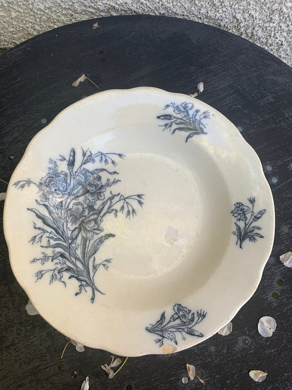 Collection hollow plate, in faience pattern carnation flower blue, antique, badonviller