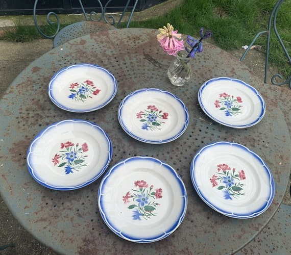 Lot composed of 6 dinner plates, Elorn model, digoin and sarreguemines, France, patterns of red carnations and blue columbines, old