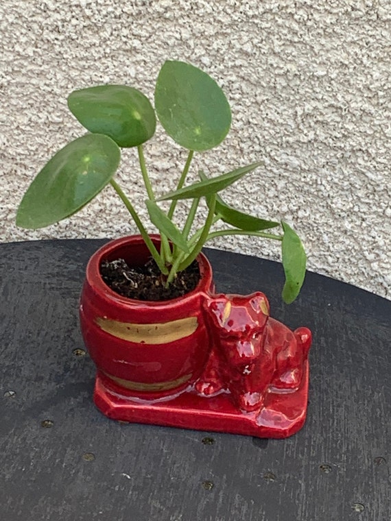 Cache pot barbotine scottish-terrier dog in vintage burgundy enameled ceram