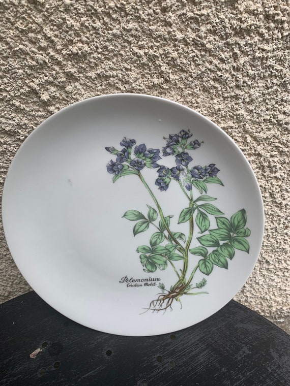 6 plates herbal pattern in porcelain winterling bavaria creation MOBIL vintage and collector, model polemonium