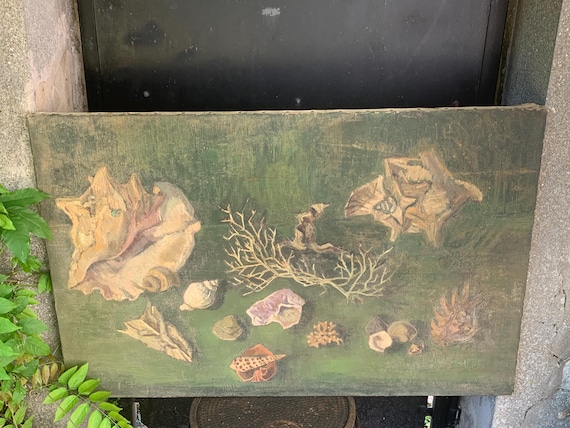 Large painting of seashells, cabinet of curiosities, signed by G. Sarrade, vintage and collector's item