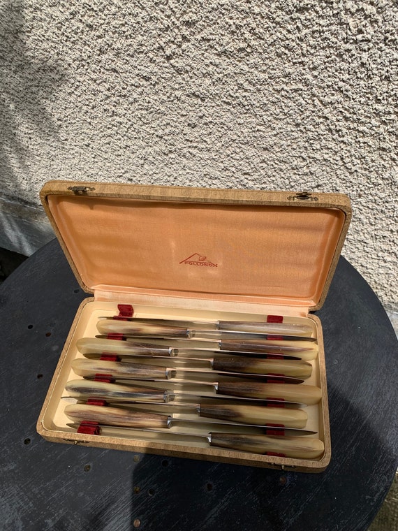 11 knives in their original box, stainless steel and imitation horn bakelite handles, vintage Pollonox 1960