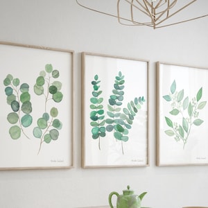 Akvarellkonsttryck med eukalyptus, botanisk väggdekoration