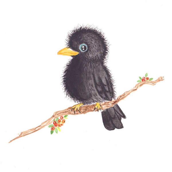 ravens-baby-etsy