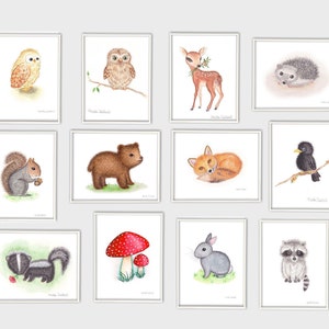 Bear Art Print. Woodland Nursery Art. Kids Room Decor. Brown Bear ...