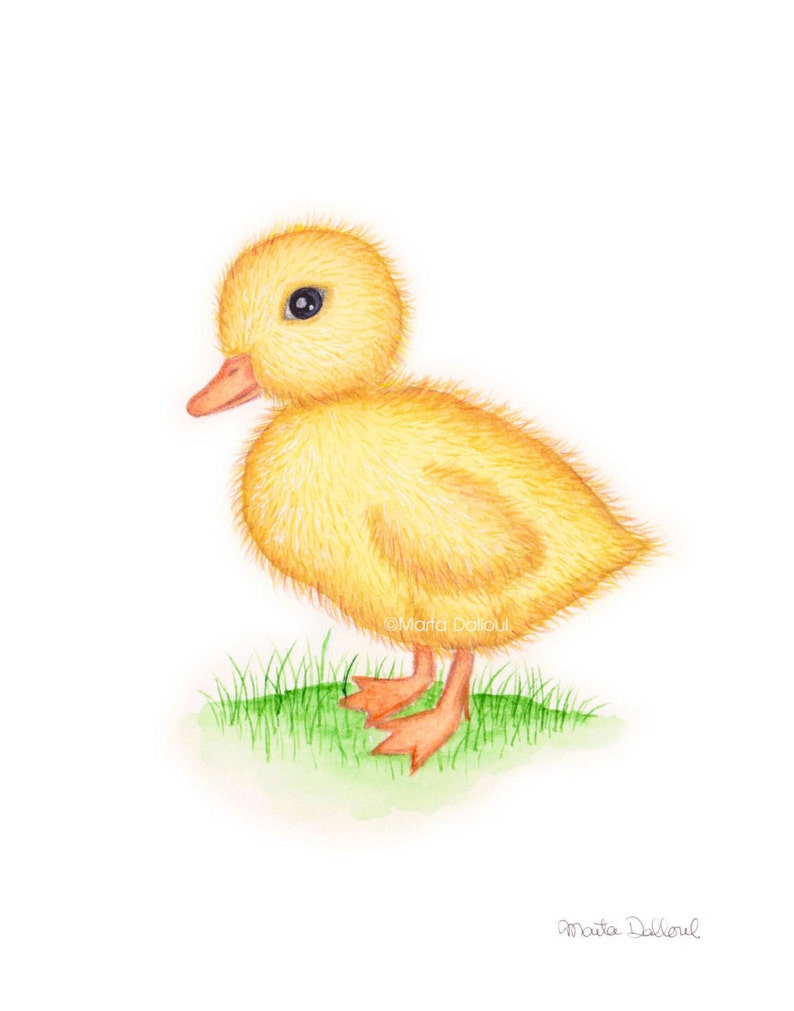 Baby animal print. Farm nursery art. Duck nursery decor. Baby Duck illustration. Duck watercolor painting. Baby shower gift. Kids room decor image 1
