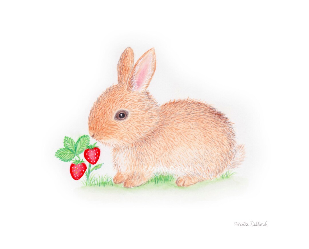 Baby Animal Art Print. Nursery Bunny Wall Art. Kids Room Art. Rabbit ...