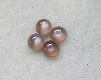 AAA Chocolate Moonstone Cabochons: 4mm Round Gemstones, 10 Piece Lot