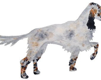 Tri coloured English setter watercolour print
