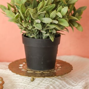 May include: A small, potted plant with green leaves sits on a decorative, gold-colored metal stand. The plant is in a black pot. The stand has a circular design and three small legs. The background is a solid peach color.