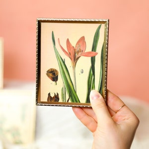 May include: A framed botanical print featuring a detailed illustration of a pink flower with green leaves. The print is in a gold-colored rectangular frame. The background is a soft peach color.