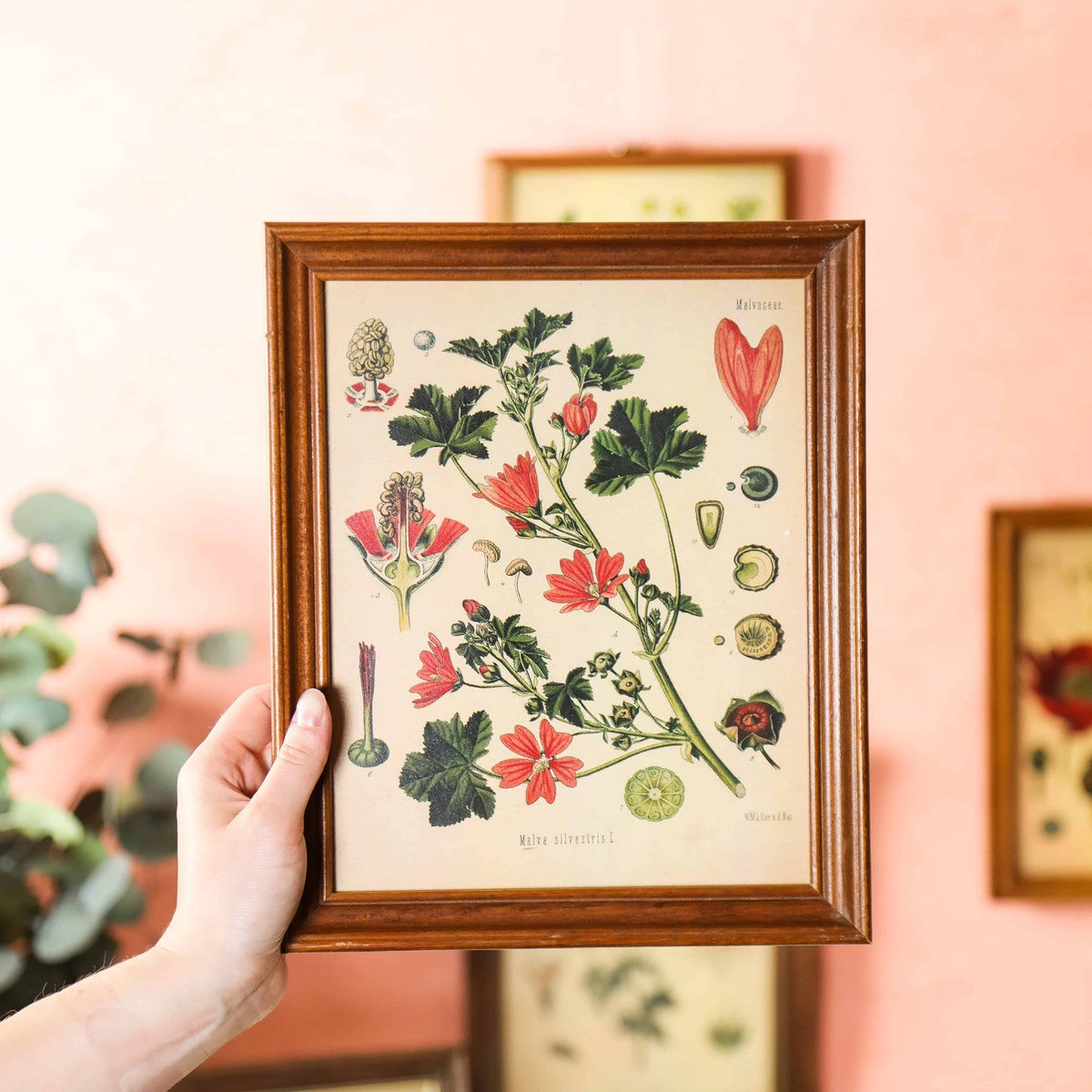 4 Vintage 8 X 10 Wooden Frame Set, Vintage Wood Frames Vertical, Simple Frames Bulk, Farmhouse Frames, Mid Century Frame Collection - Etsy