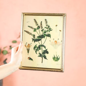 1 Vintage 8 x 10 Frame, Vintage Brass Frame, Vintage Picture Frame, Antique Wedding Frame Gallery Wall, Antique Picture Frames for Wall