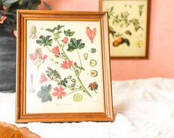 2 Vintage 8x10 Wooden Frame Set, Gallery Wall Frames Wood, Wood Frame for Embroidery, Tabletop Frame Collage, Wood Frames for Wall Art