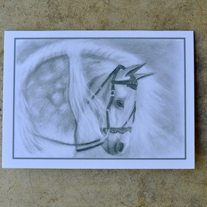 Set of 6 Blank Notecards Dapple Grey Prints of original pencil drawing by Anicka at age 12. Horse. Black and white. Proceeds to charity. image 1