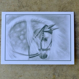 1 vuoto nota card. stampa del disegno "Dapple Grey" originale a matita per Anicka all'età di 12. Cavallo in bianco e nero. Ricavato in beneficenza.