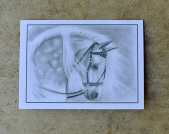 1 Blank Note Card. Print of original pencil drawing "Dapple Grey" by Anicka at age 12. Horse in black and white. Proceeds to charity.