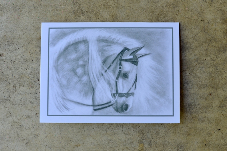 Set of 6 Blank Notecards Dapple Grey Prints of original pencil drawing by Anicka at age 12. Horse. Black and white. Proceeds to charity. image 1