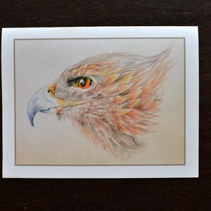 1 tarjeta de nota en blanco "Águila" impresión del lápiz de color original dibujo de Anicka a los 11 años. Todas las ganancias a la caridad.