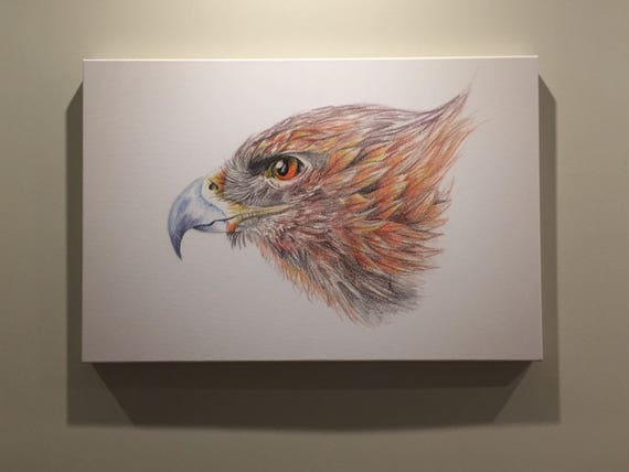 Golden Eagle Giclee Print On Canvas By Anicka At Age 11 Proceeds To Charity Looks Like Auburn War Eagle