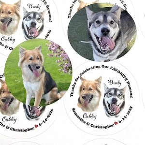 Custom Pet Wedding Favor Stickers and Bags, Personalized Doggie Bag Labels, Pet Photo Favors bild 3