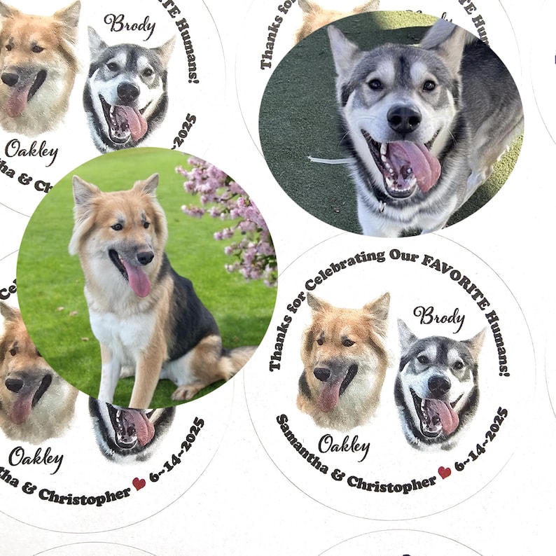 Custom Pet Wedding Favor Stickers and Bags, Personalized Doggie Bag Labels, Pet Photo Favors bild 3