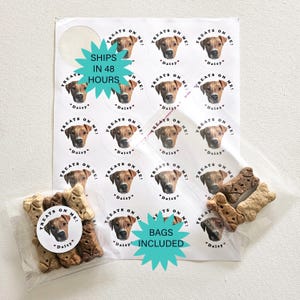 Custom Pet Wedding Favor Stickers and Bags, Personalized Doggie Bag Labels, Pet Photo Favors bild 4