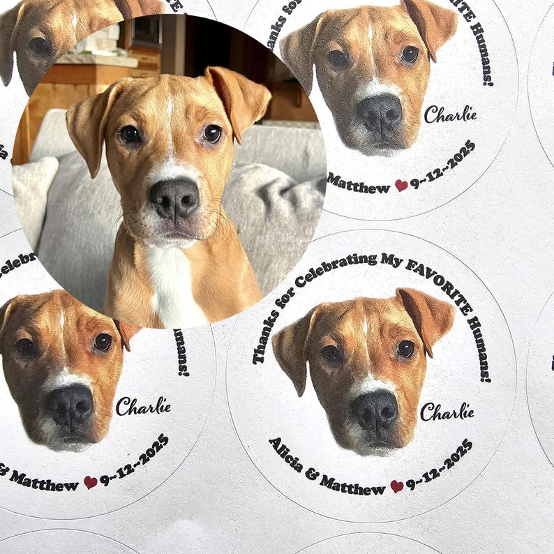 Custom Pet Wedding Favor Stickers and Bags, Personalized Doggie Bag Labels, Pet Photo Favors bild 6