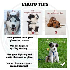 Custom Pet Wedding Favor Stickers and Bags, Personalized Doggie Bag Labels, Pet Photo Favors bild 9